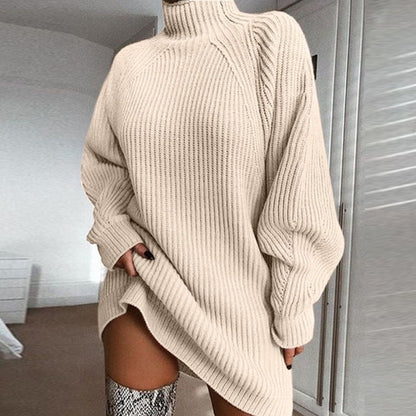 Cozy Turtleneck Sweater Dress
